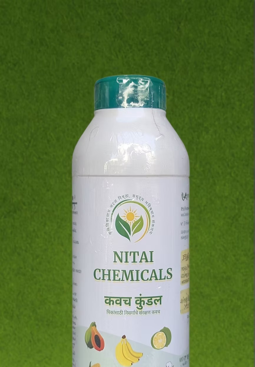 Kavach Kundal Impact