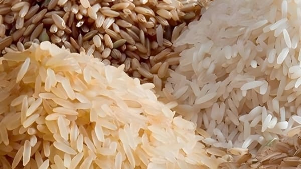 Indian Rice Export